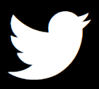 twitter icon page footer